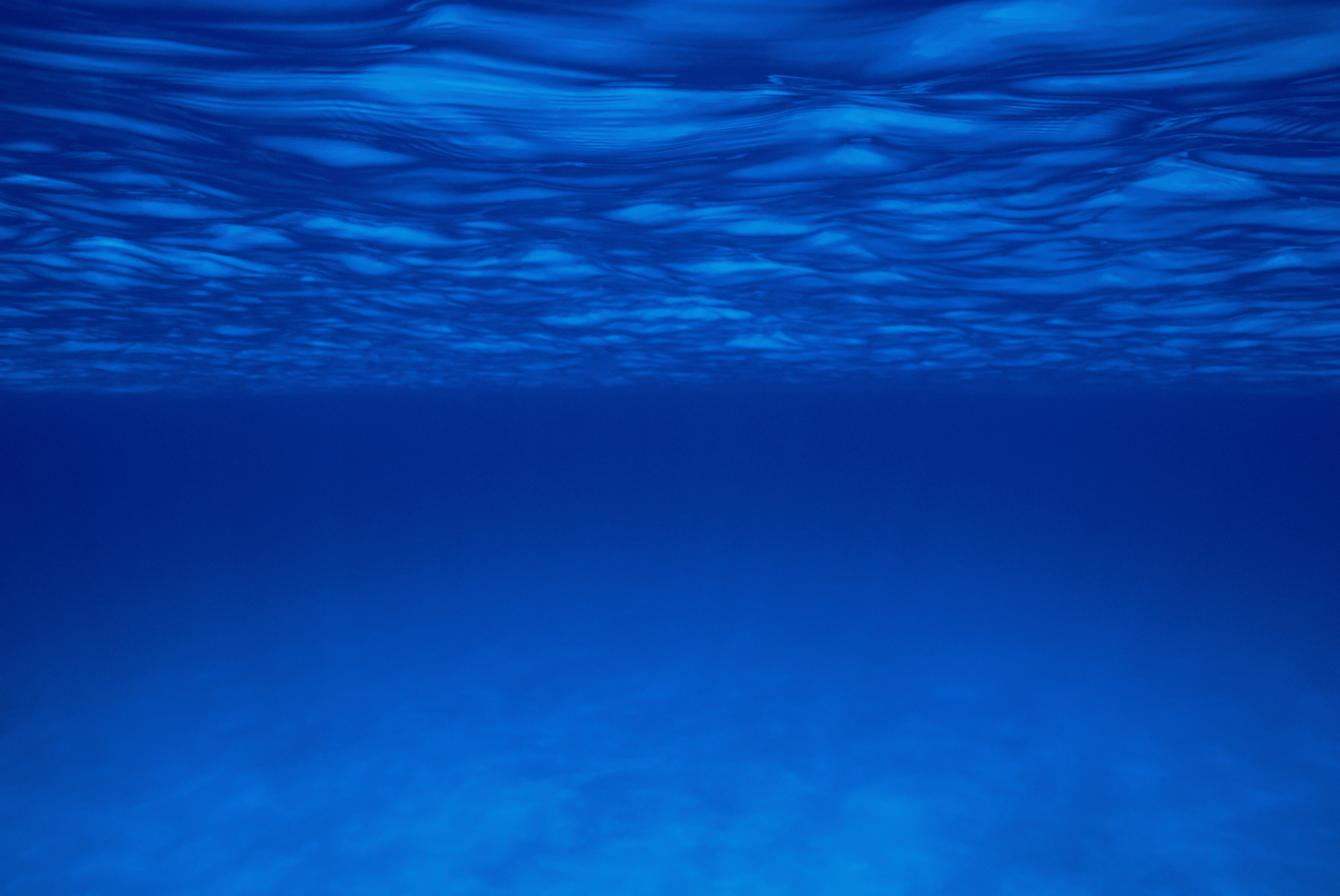 Undersea - Bahamas
