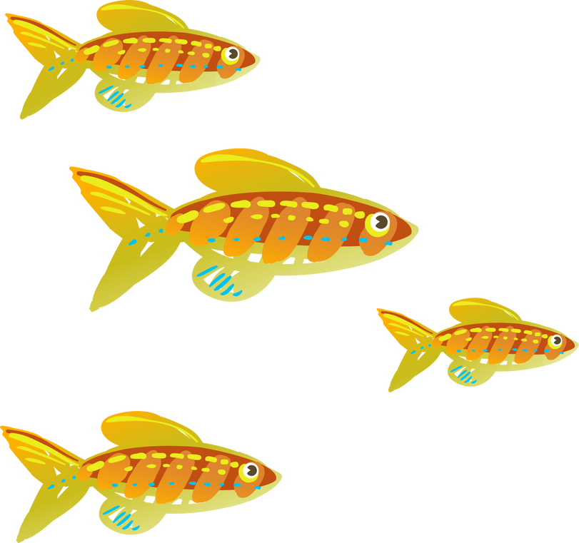 School of Fish Illustration 
